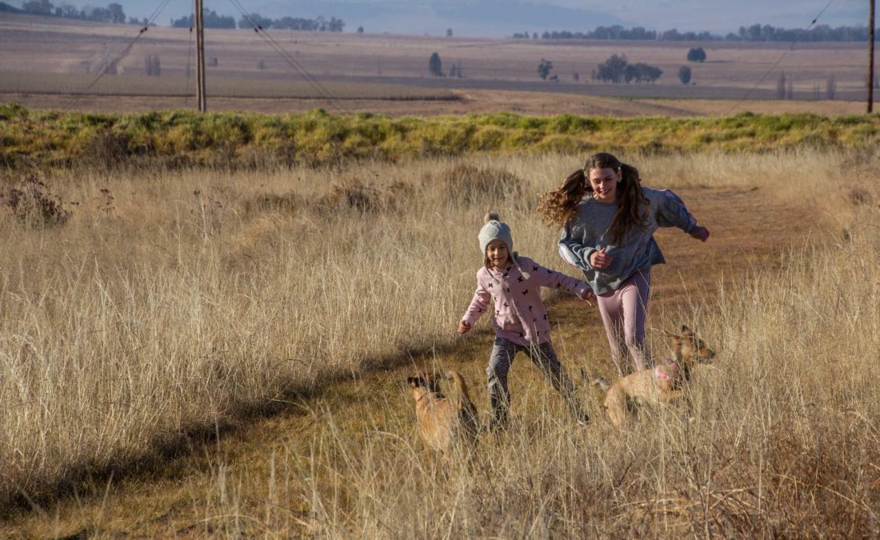 Amohela Ho Spitskop Country Retreat & Conservancy Ficksburg Luaran gambar